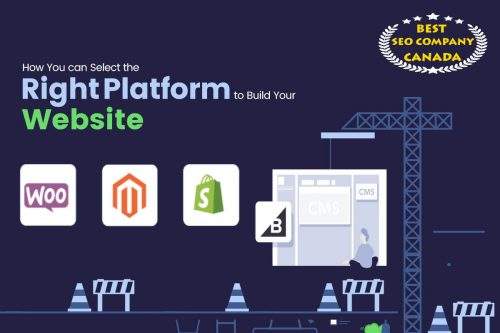 how to choose perfect website development platform